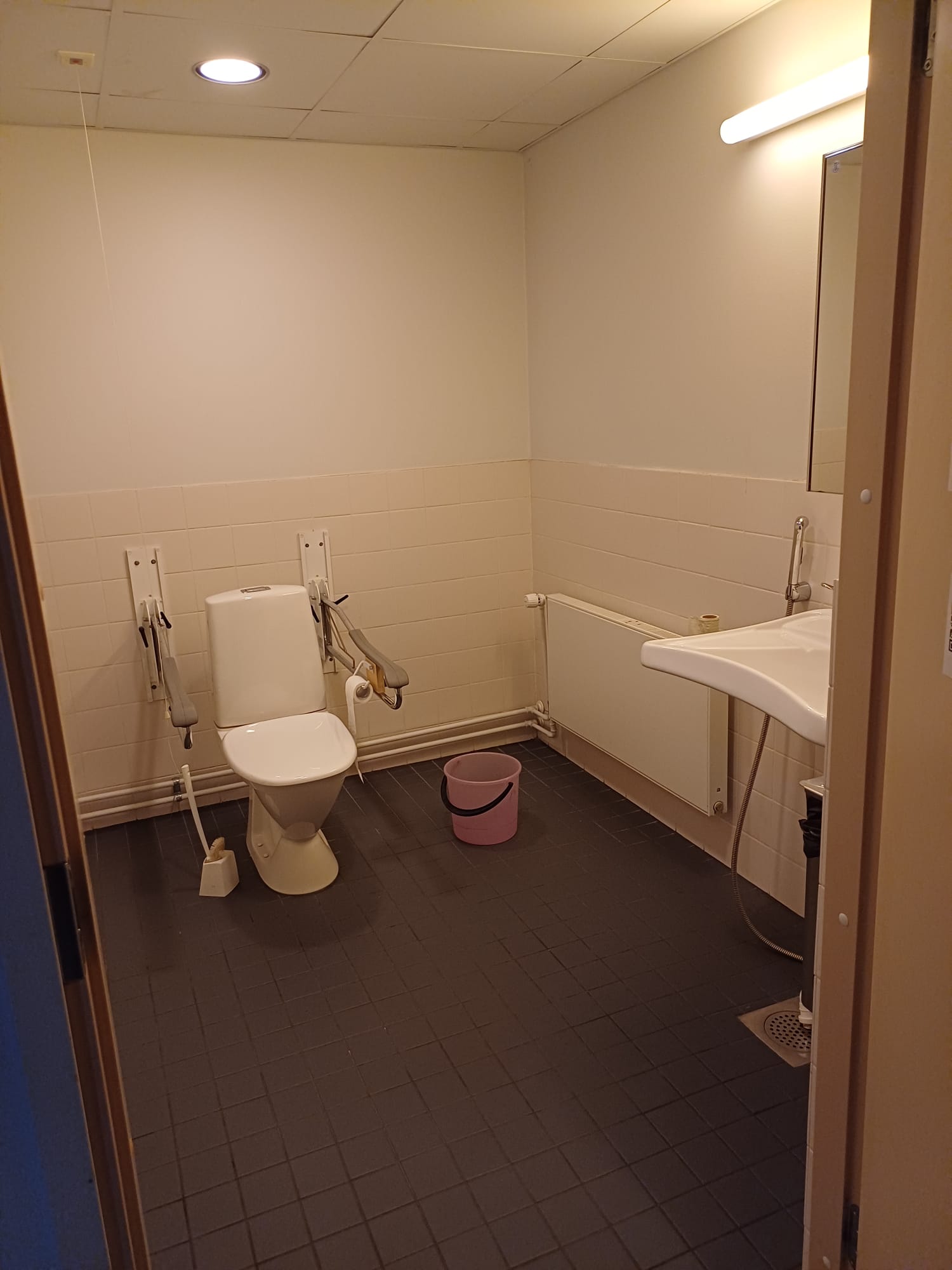 The accessible bathroom seen from the door: a toilet against the back wall with fold-away grab rails on both sides and an alarm cord hanging from the ceiling on the left. A washbasin, hand shower and mirror on the right wall. Plenty of free floor space.