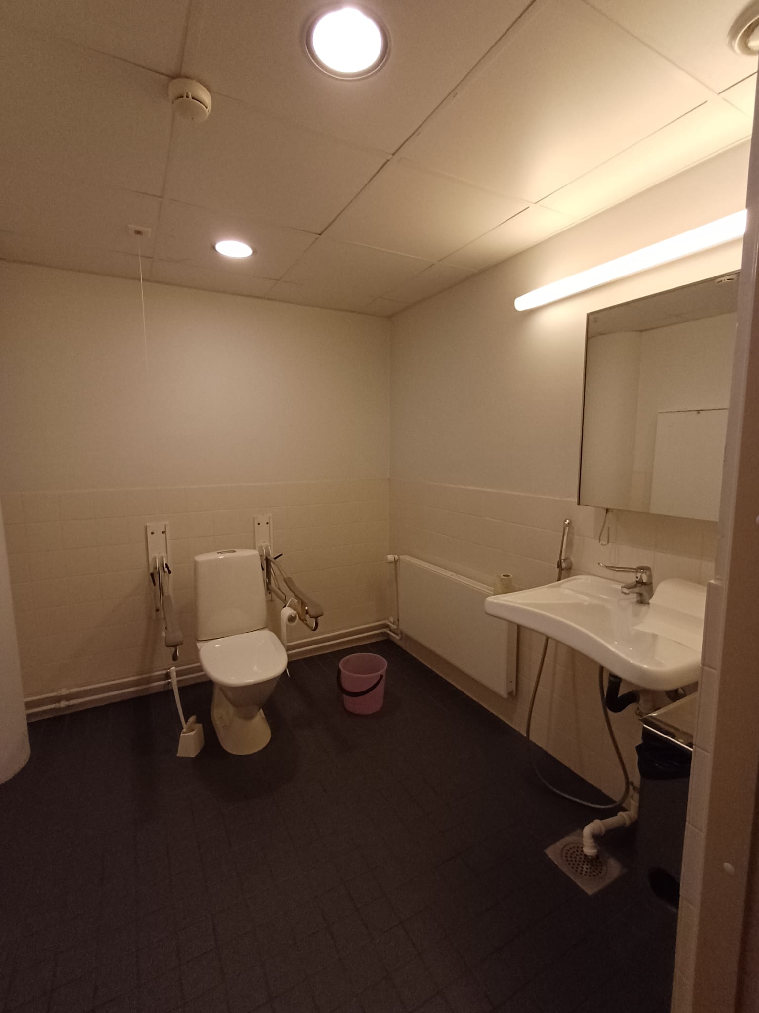 The same accessible bathroom from a wider angle: the toilet with grab rails against the back wall and a low washbasin with a large mirror above it on the right wall.